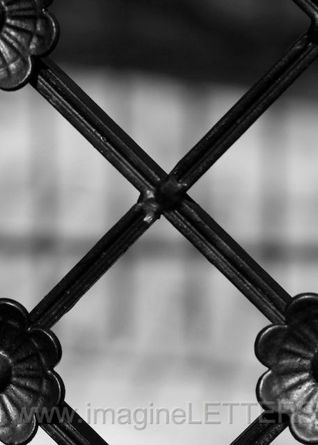 Wall_Art_Alphabet_Photography_Art_ 2454.jpg